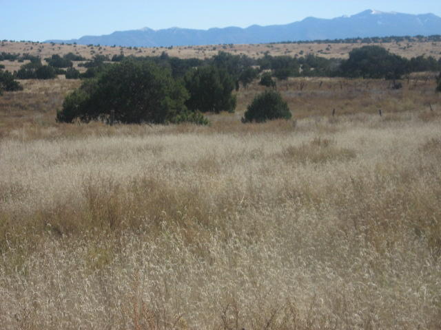 Photo 4 — Lot 188 Pinon Springs Ranches
