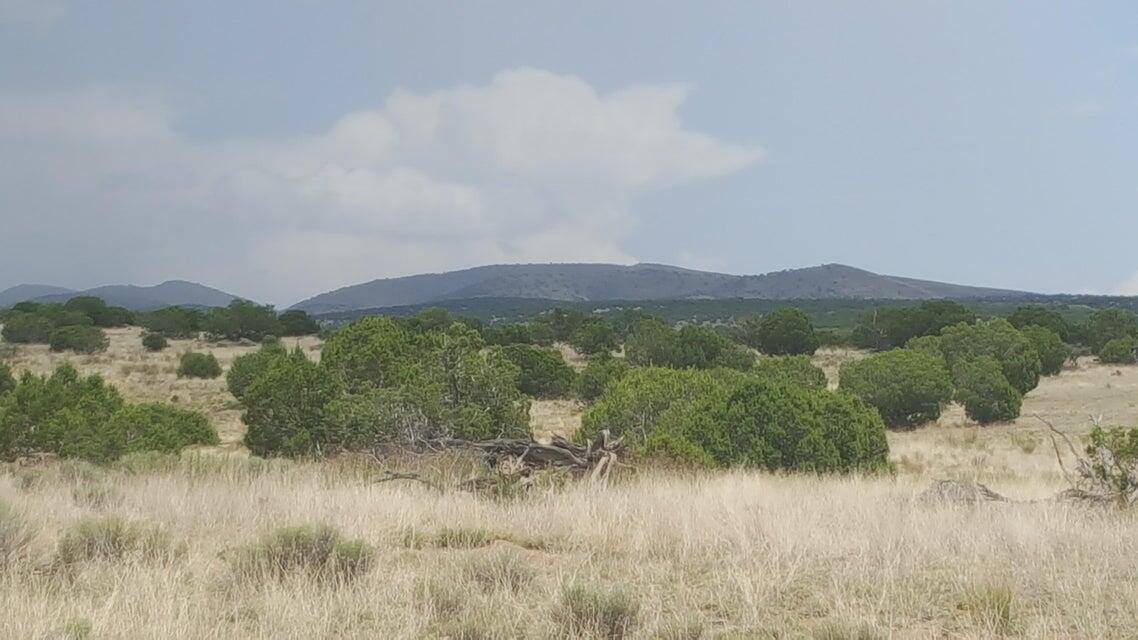 Photo 5 — Lot 188 Pinon Springs Ranches