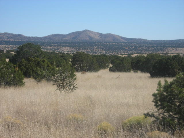 Photo 6 — Lot 188 Pinon Springs Ranches