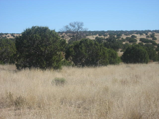 Photo 7 — Lot 188 Pinon Springs Ranches