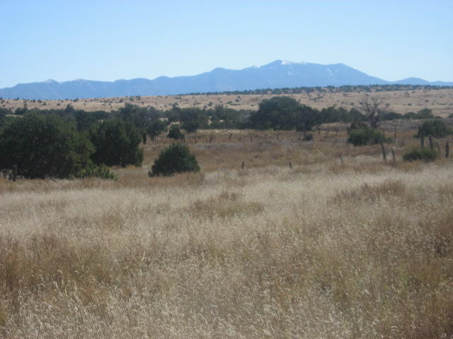 Photo 8 — Lot 188 Pinon Springs Ranches