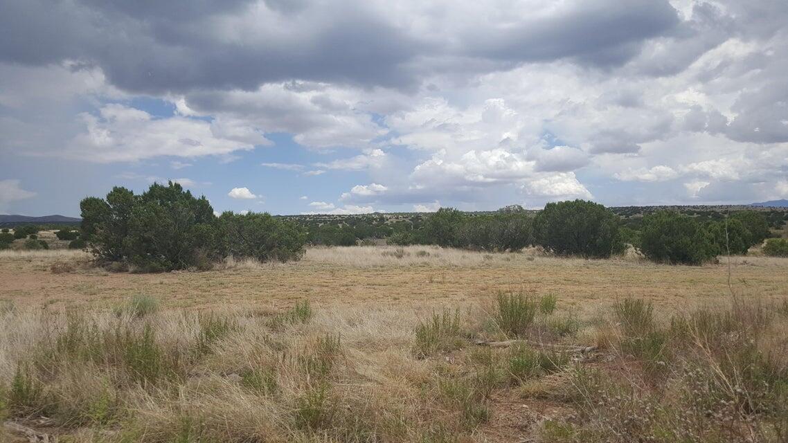 Photo 9 — Lot 188 Pinon Springs Ranches