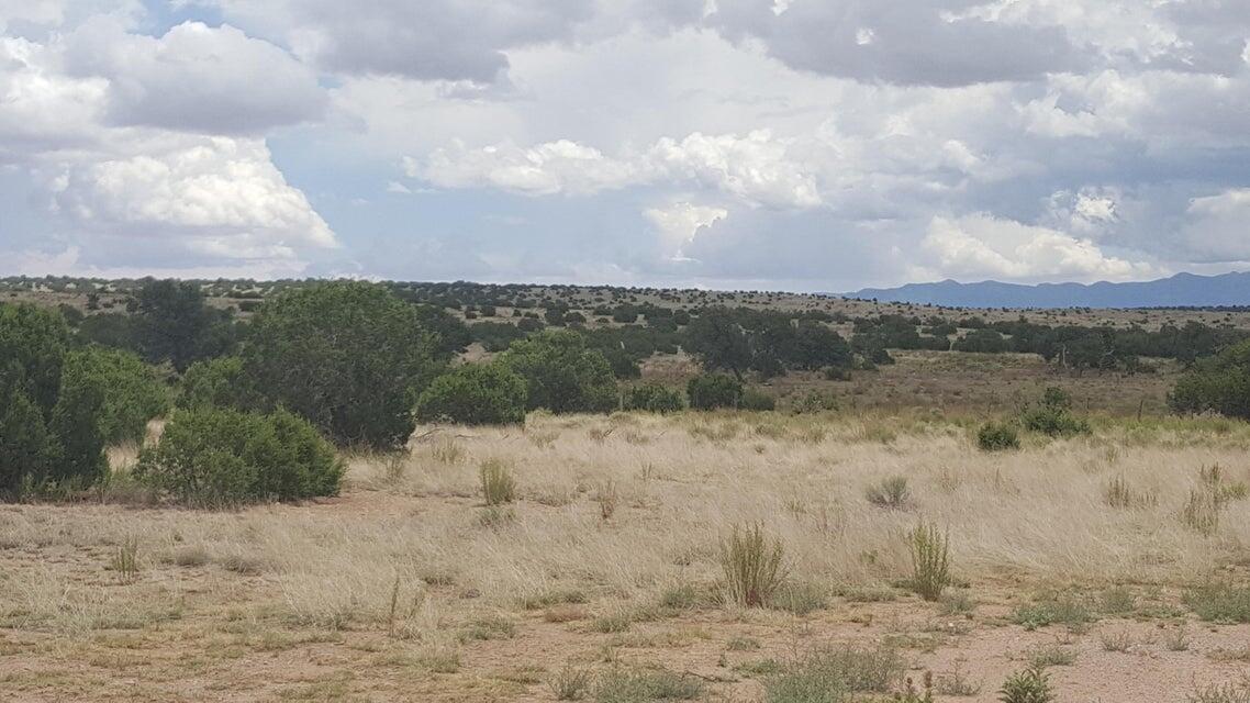 Photo 10 — Lot 188 Pinon Springs Ranches