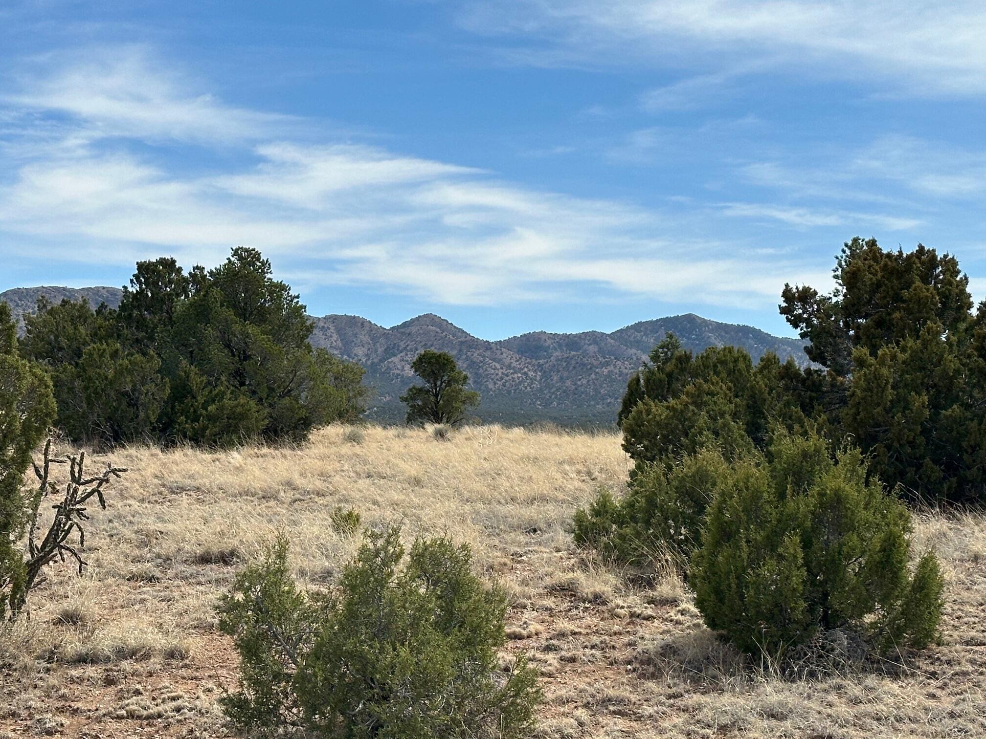 Photo 14 — 3 ANASAZI Trail