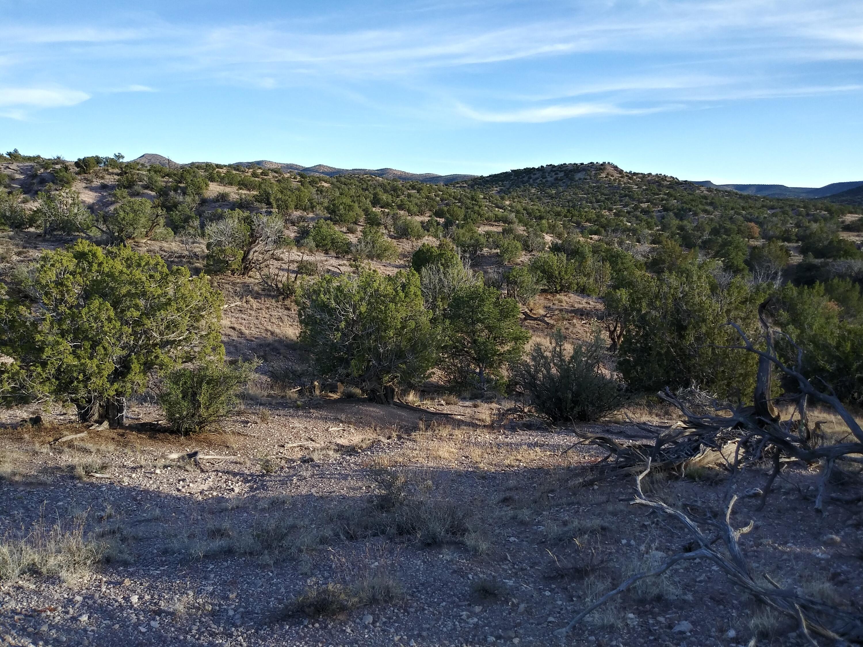 Photo 9 —  Abbe Springs Ranches Lot 115