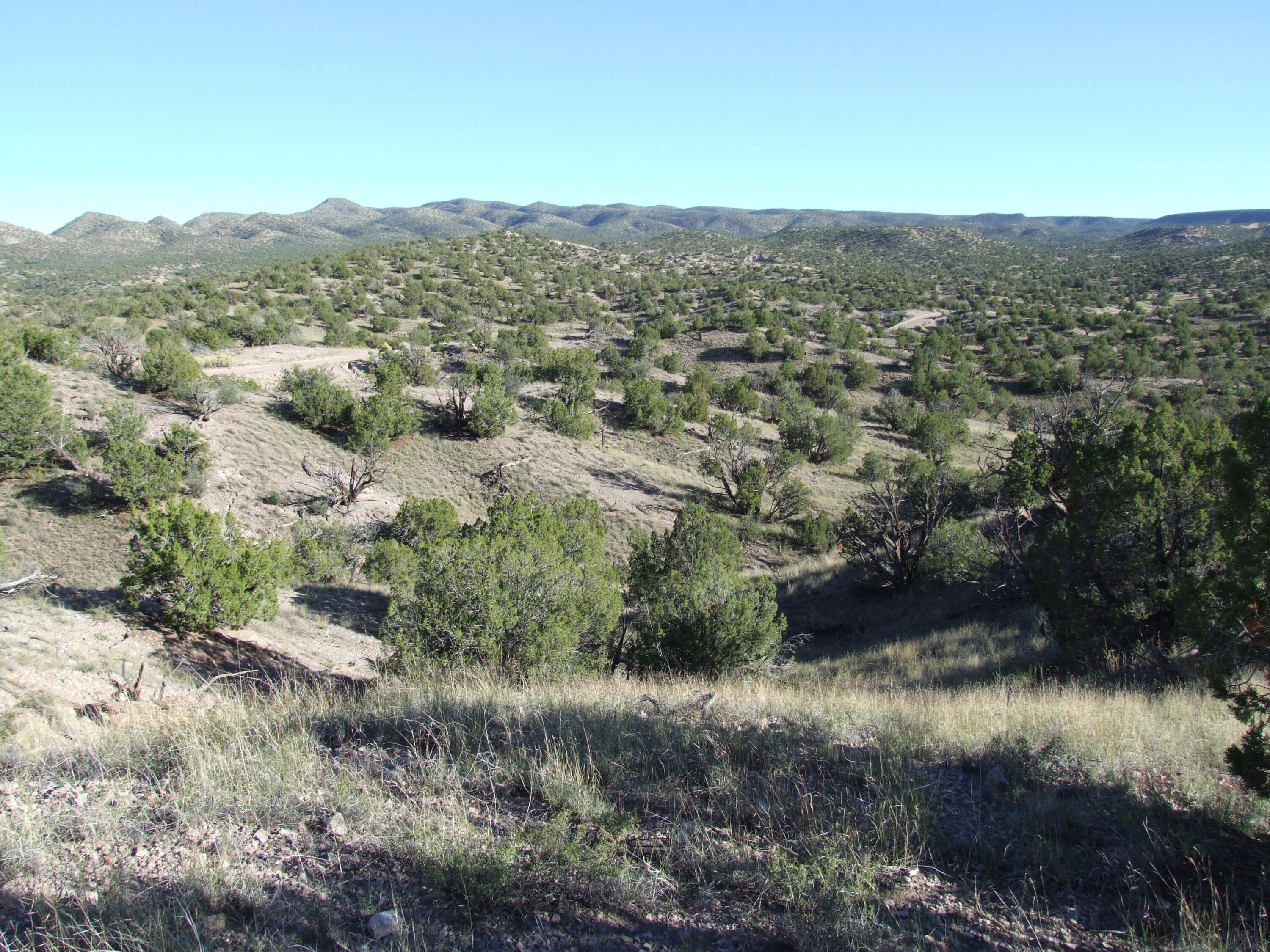 Photo 8 —  Abbe Springs Ranches Lot 115