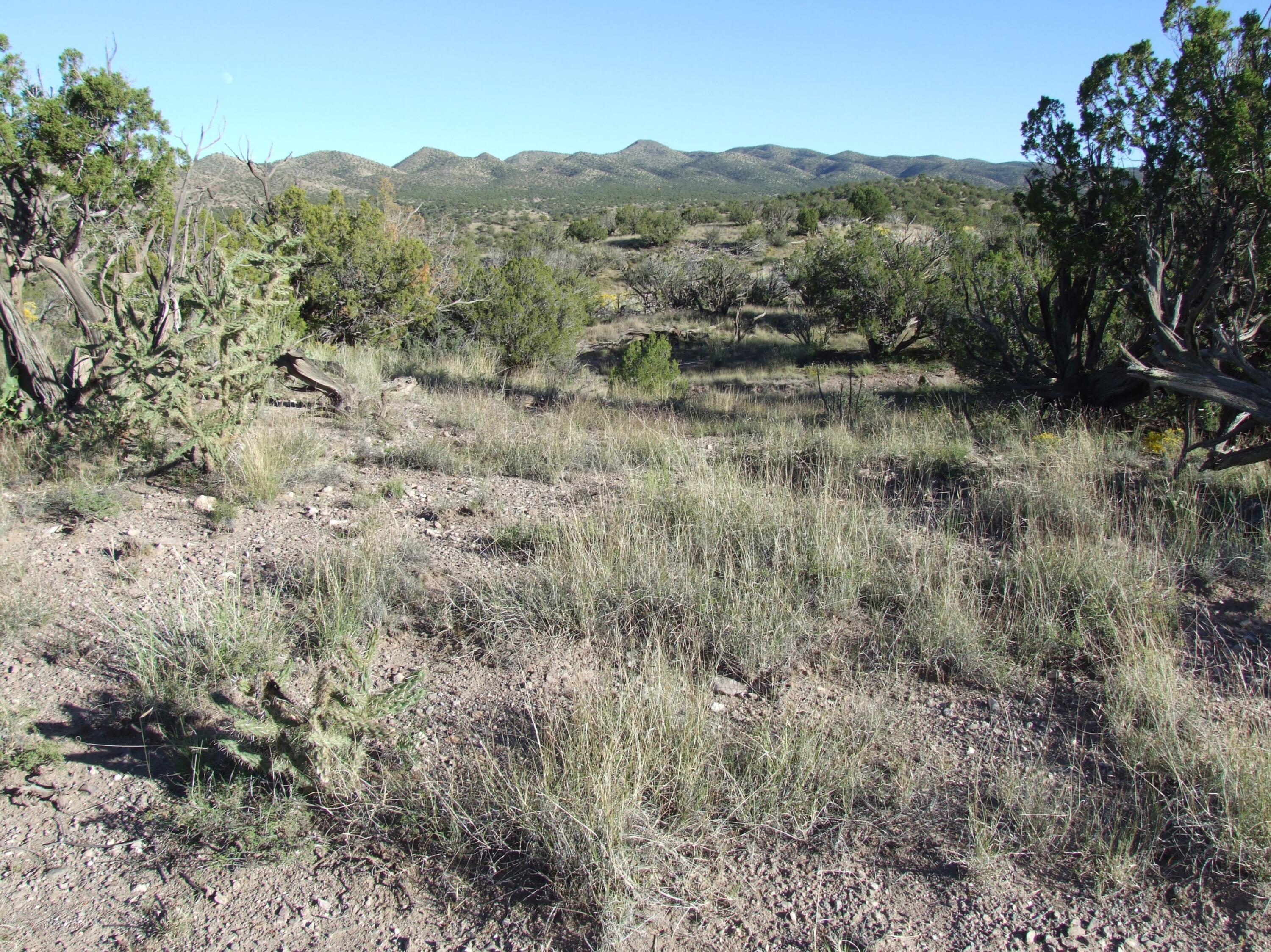 Photo 6 —  Abbe Springs Ranches Lot 115