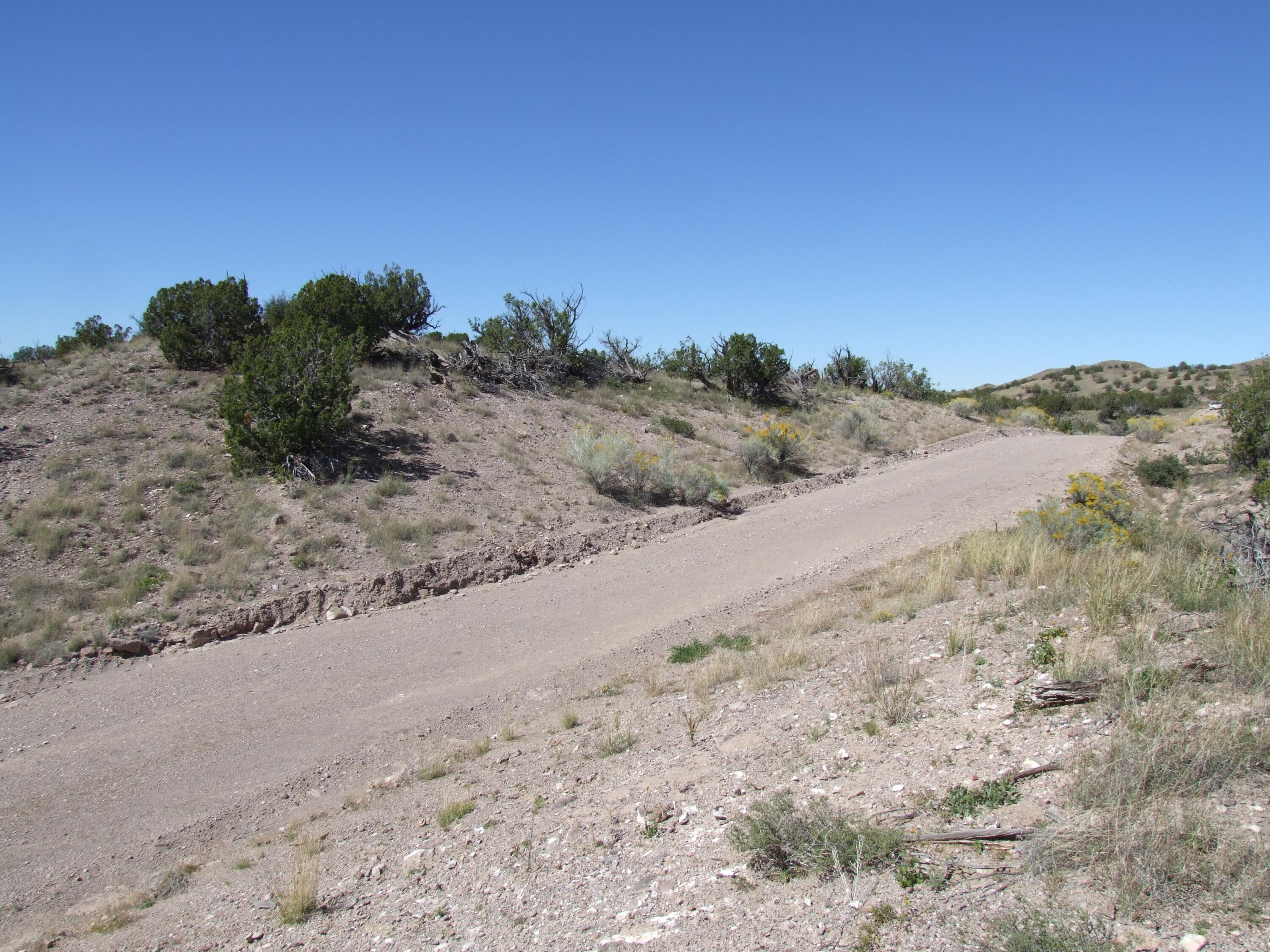 Photo 5 —  Abbe Springs Ranches Lot 115