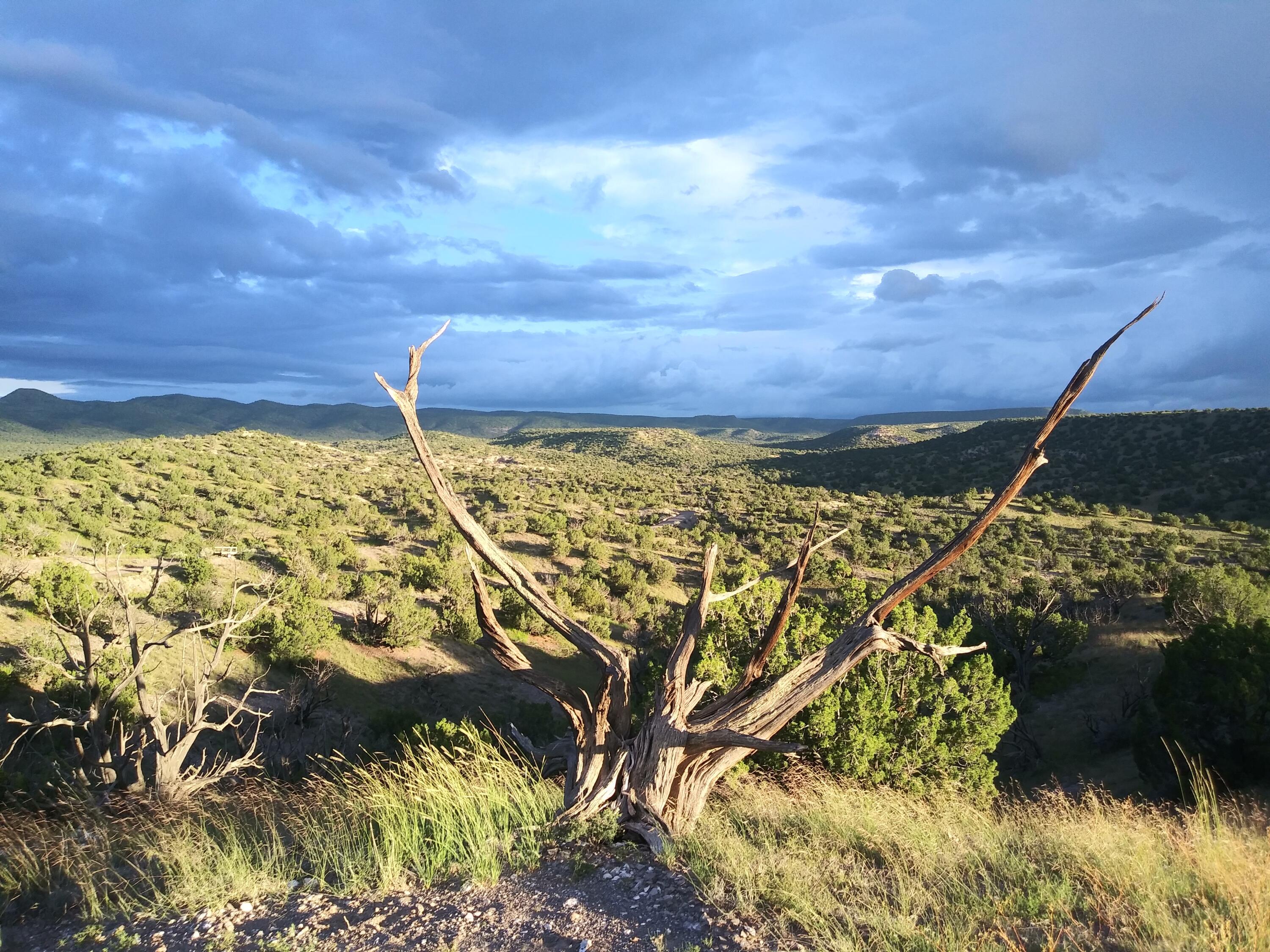 Photo 16 —  Abbe Springs Ranches Lot 115