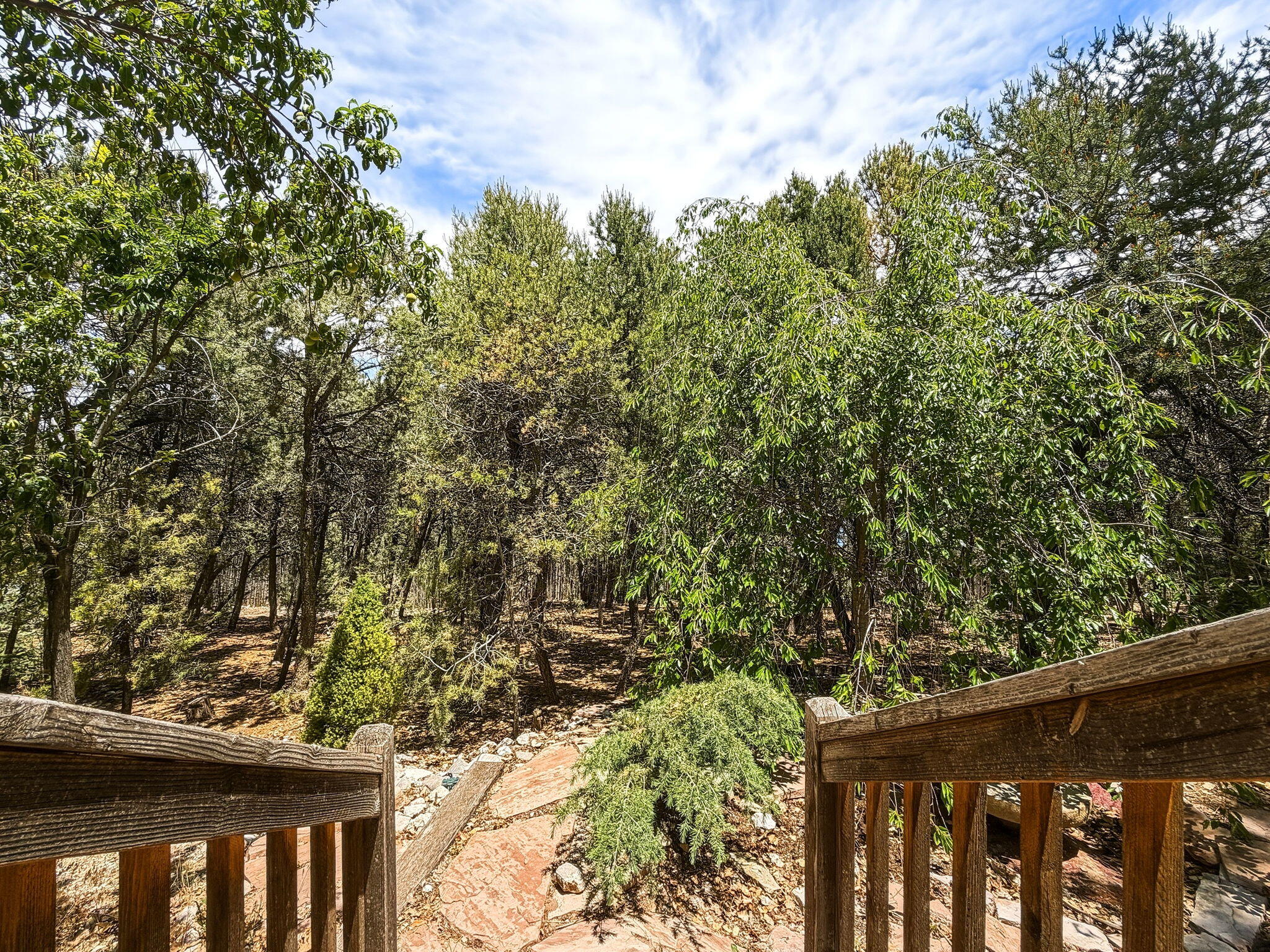 Photo 13 — 67 Pinon Heights Road