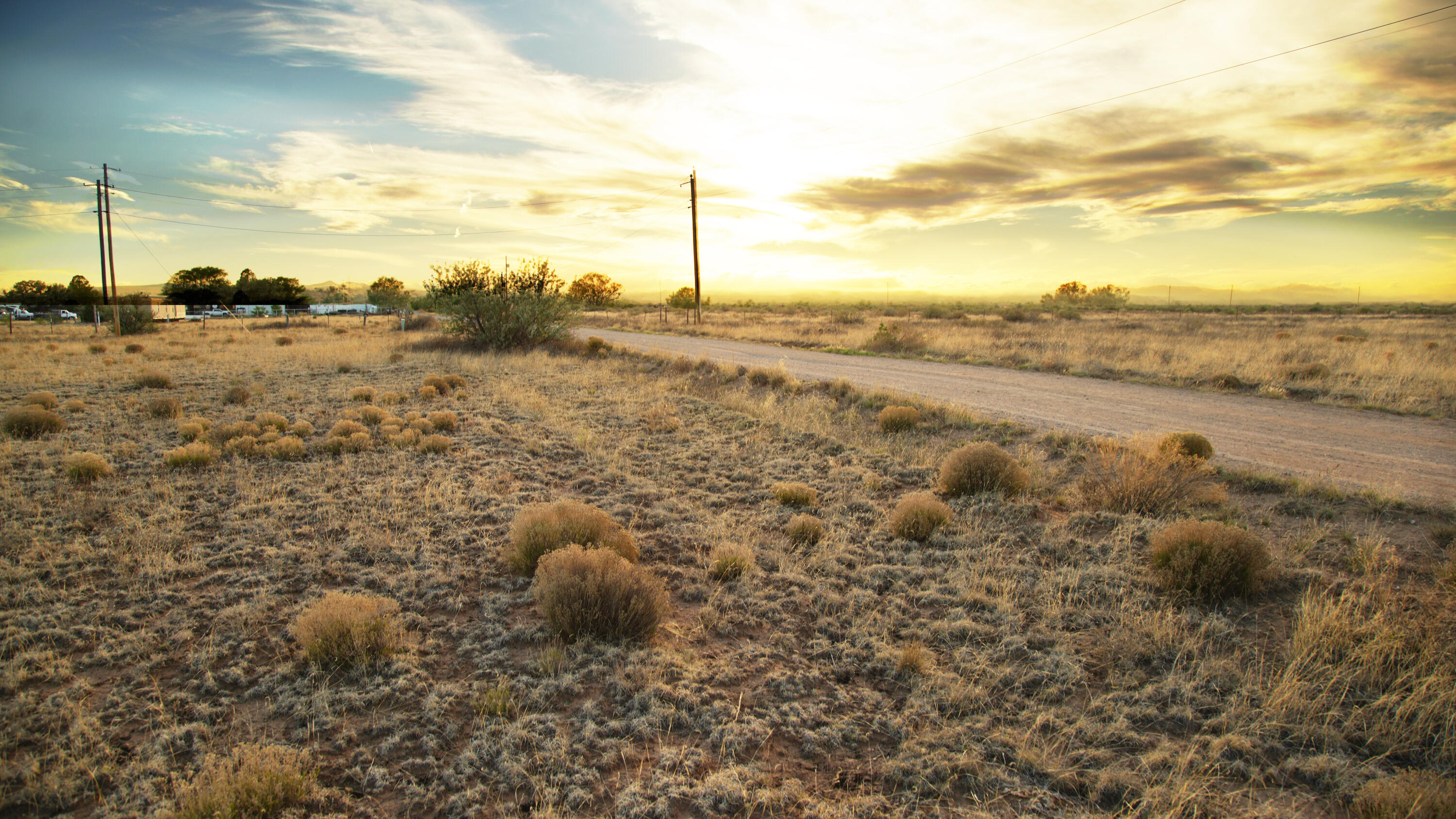 Photo 6 —  E Marshall Road