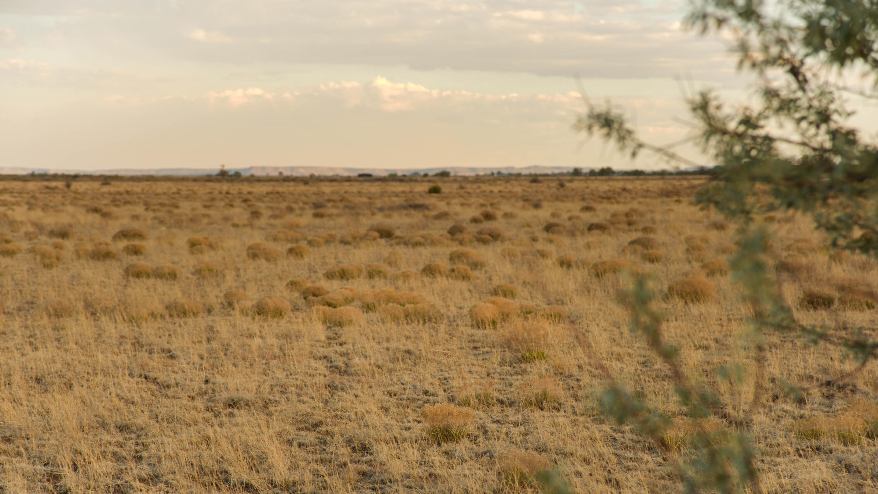 Photo 7 —  E Marshall Road