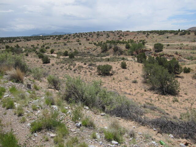 Photo 4 —  Lot 3 Blcok 5 E Frontage Road