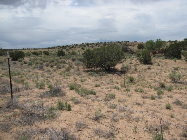 Photo 9 —  Lot 3 Blcok 5 E Frontage Road
