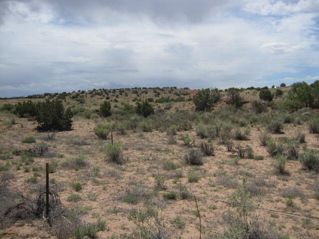 Photo 8 —  Lot 3 Blcok 5 E Frontage Road