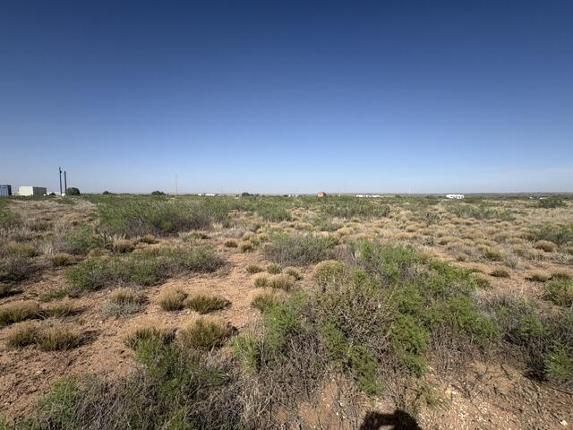 Photo 3 — Lot 48 State Road 203
