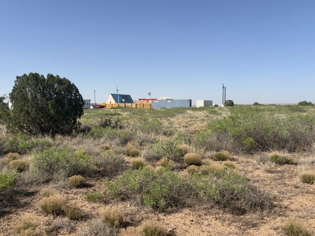 Photo 4 — Lot 48 State Road 203