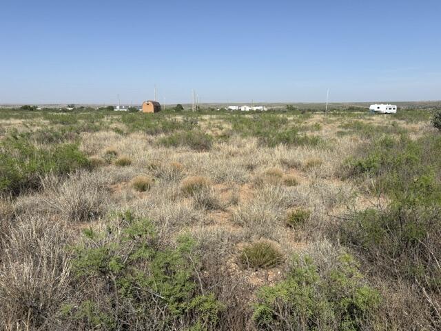 Photo 5 — Lot 48 State Road 203