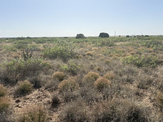 Photo 7 — Lot 48 State Road 203