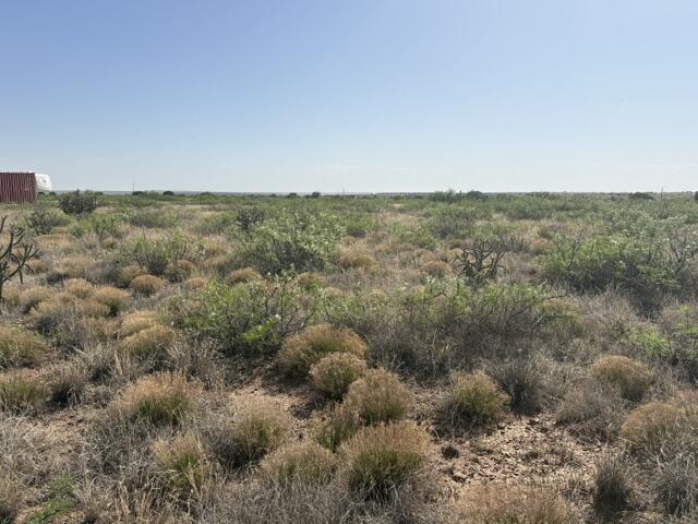 Photo 8 — Lot 48 State Road 203