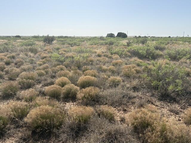 Photo 9 — Lot 48 State Road 203