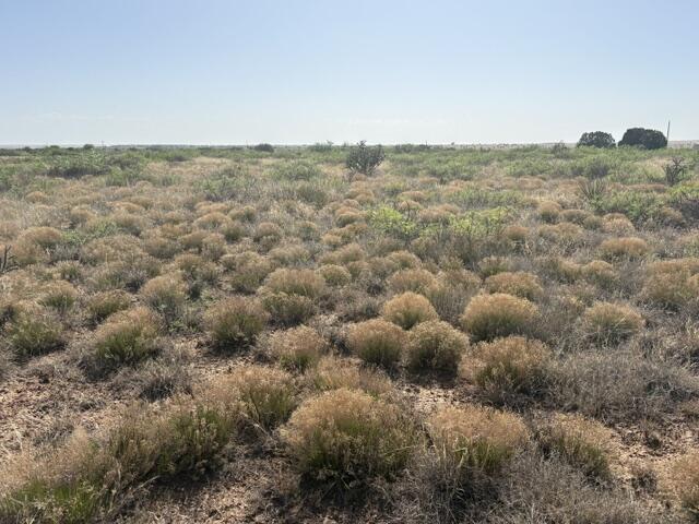 Photo 10 — Lot 48 State Road 203