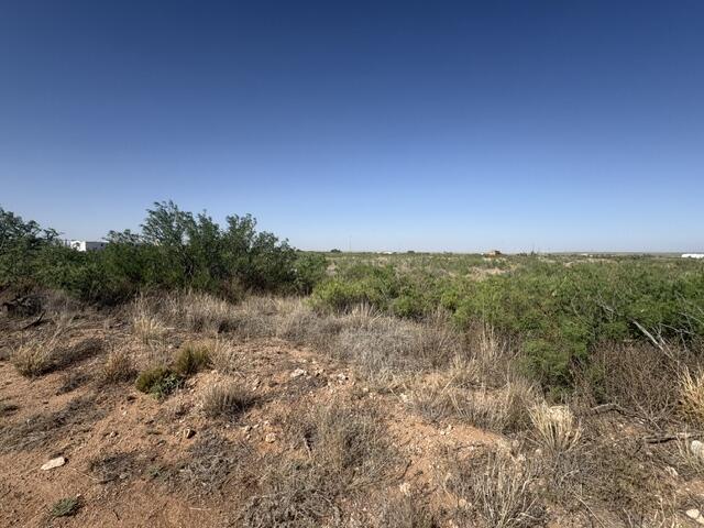 Photo 11 — Lot 48 State Road 203