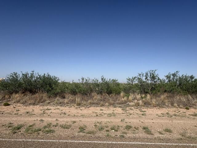 Photo 12 — Lot 48 State Road 203
