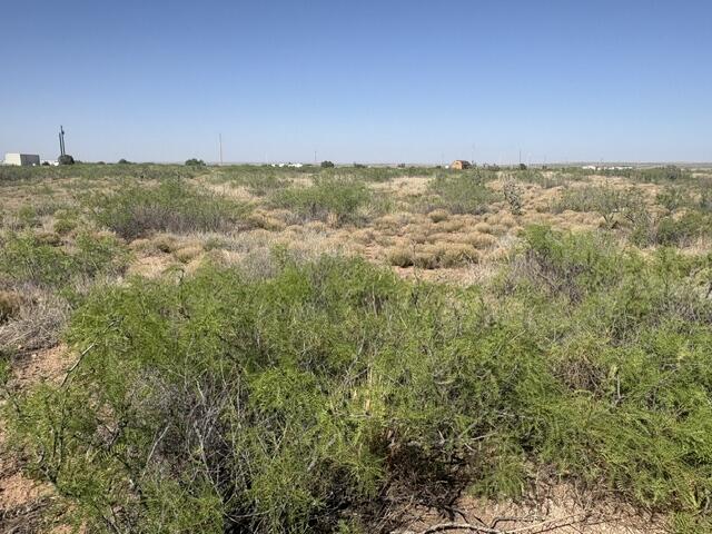Photo 13 — Lot 48 State Road 203