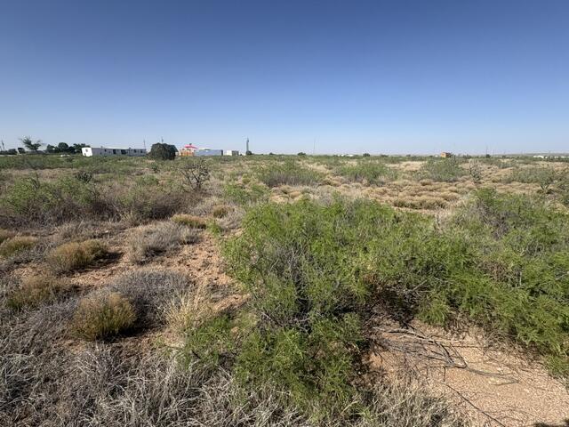 Photo 14 — Lot 48 State Road 203