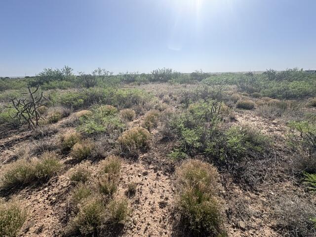 Photo 15 — Lot 48 State Road 203