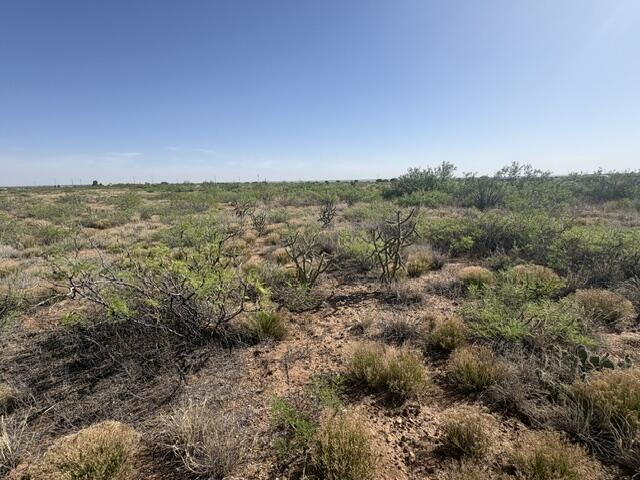 Photo 16 — Lot 48 State Road 203