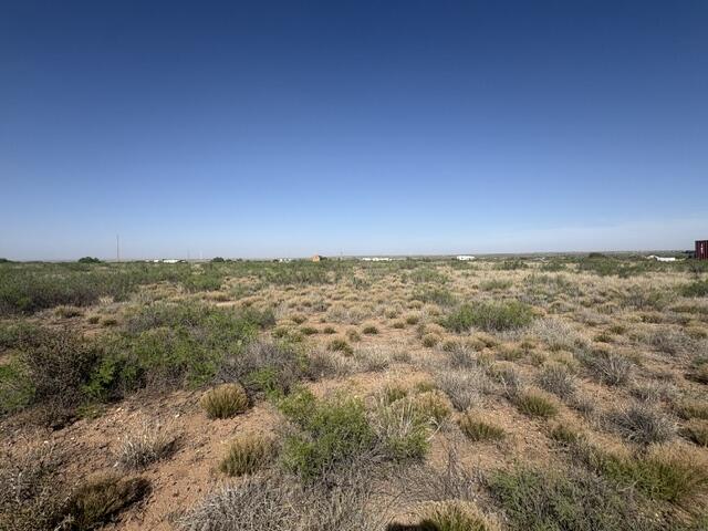 Photo 17 — Lot 48 State Road 203