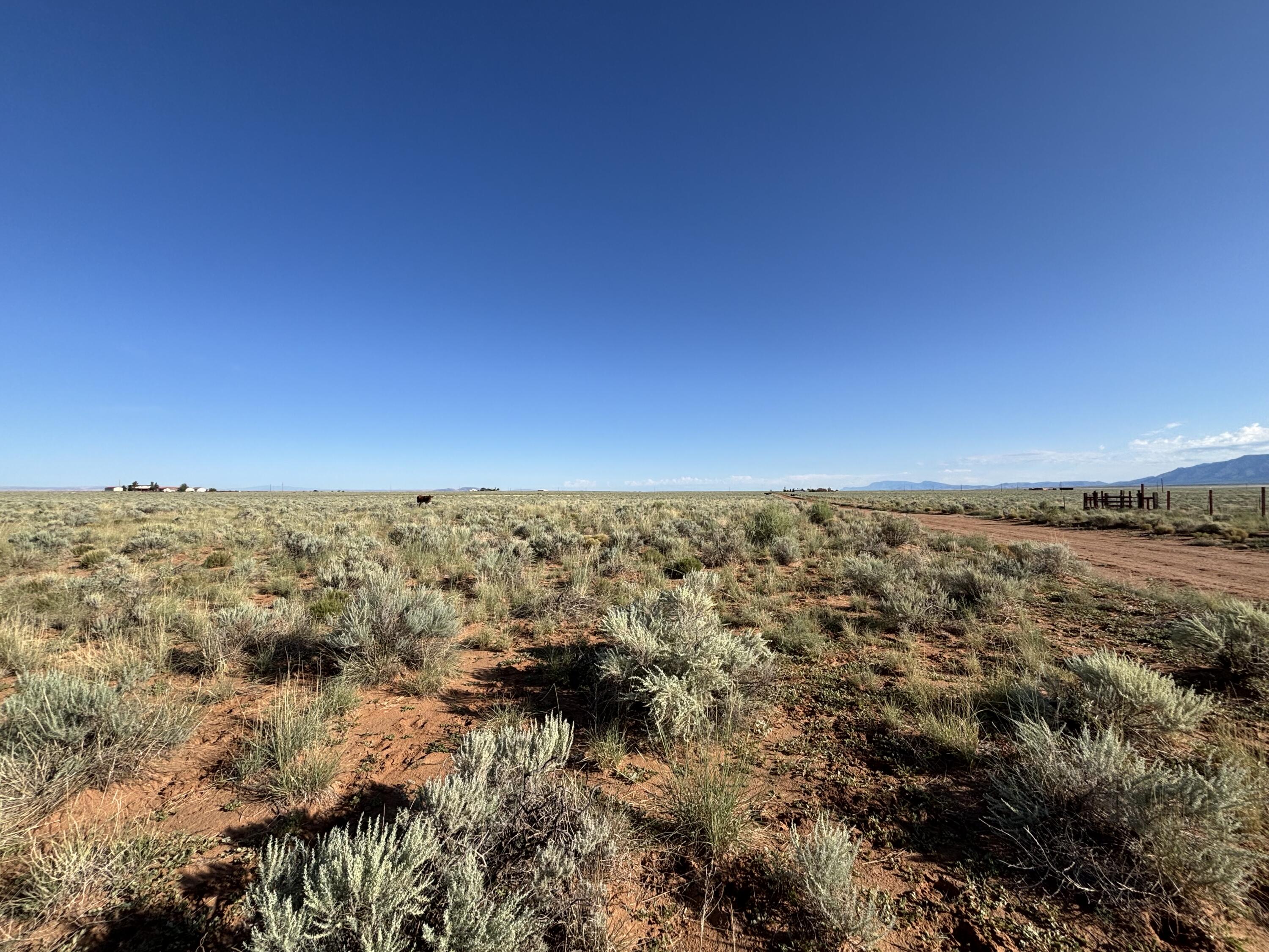 Photo 16 —  PALOMA Loop