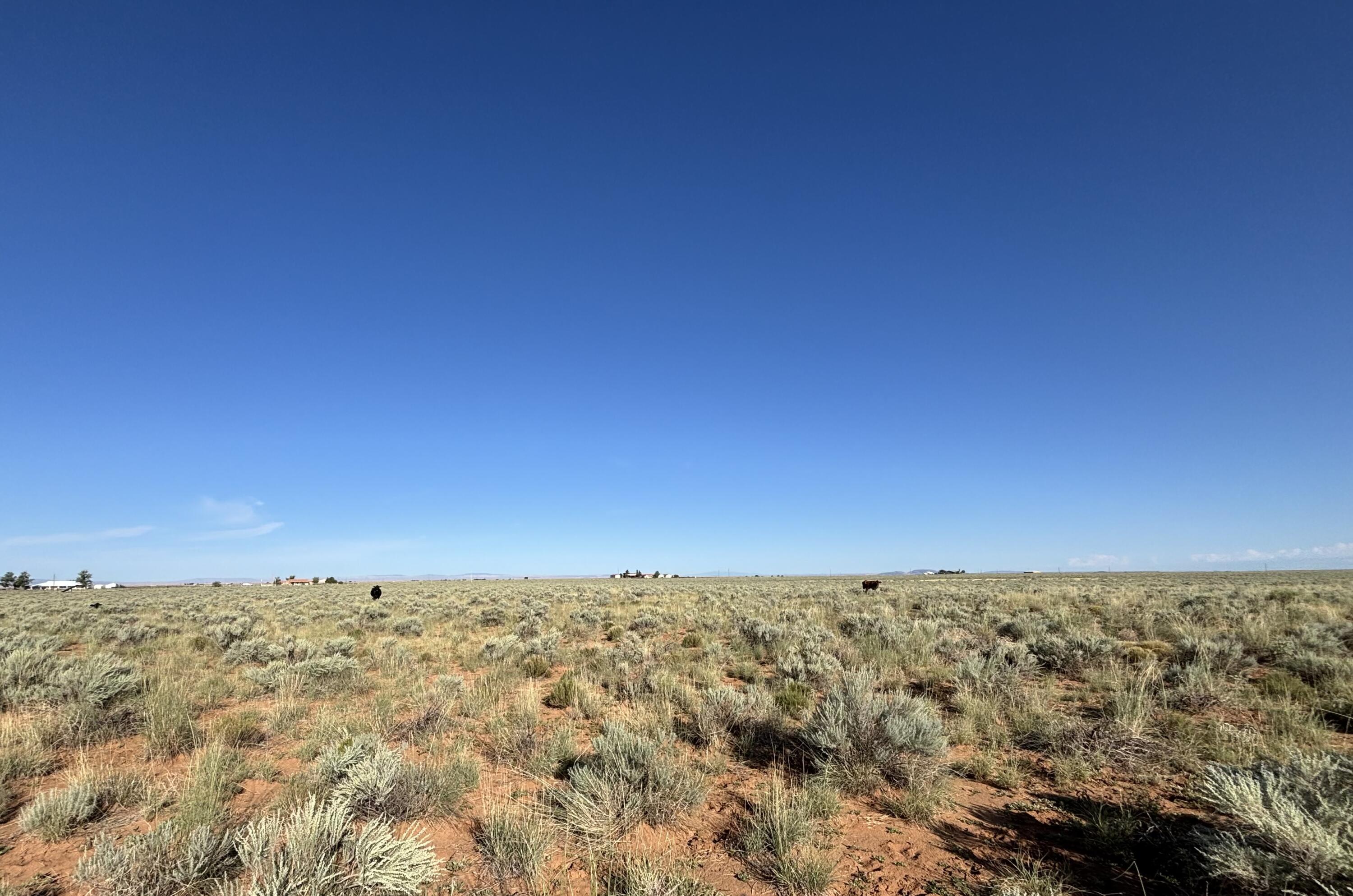 Photo 2 —  PALOMA Loop
