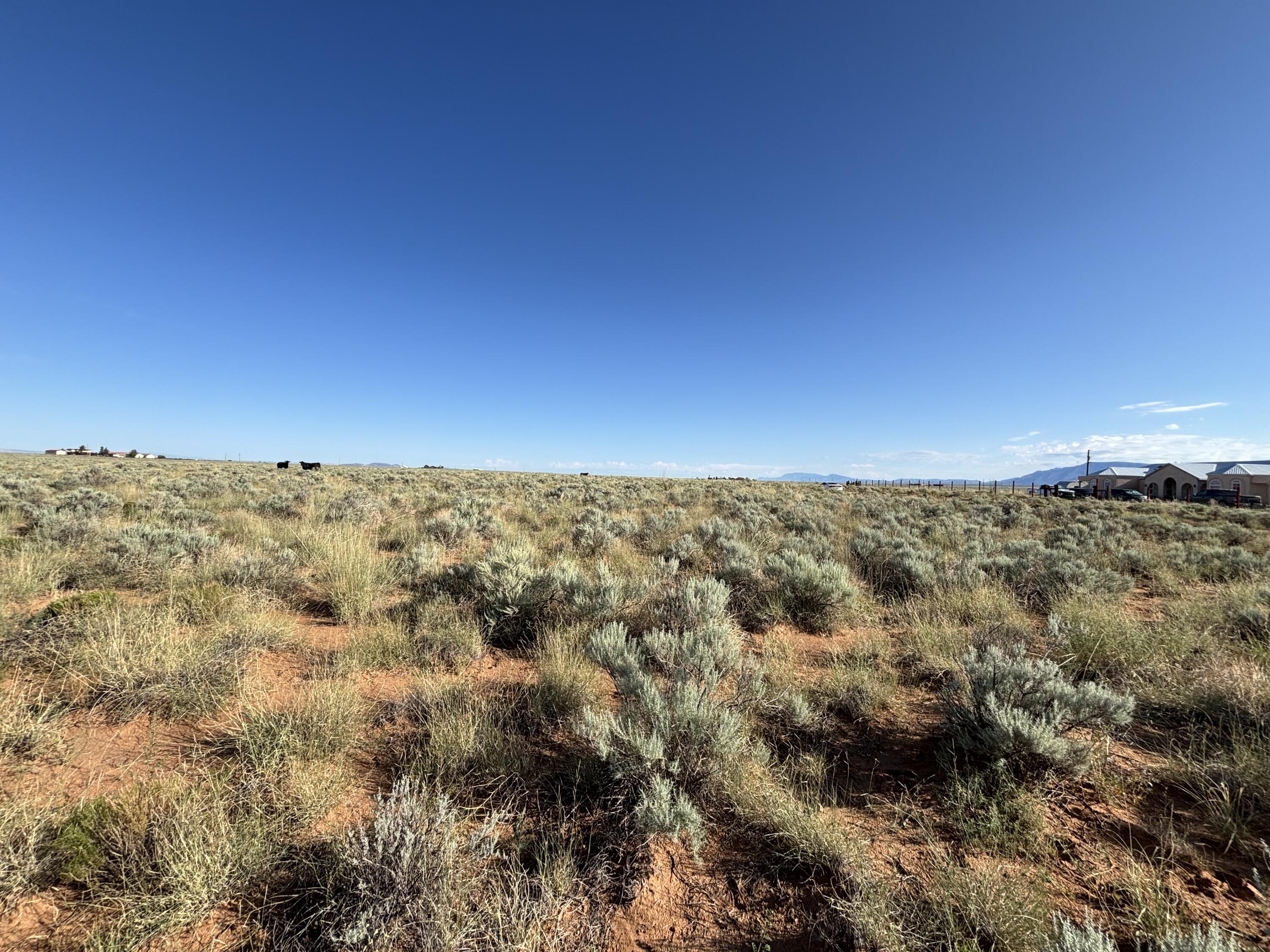 Photo 7 —  PALOMA Loop