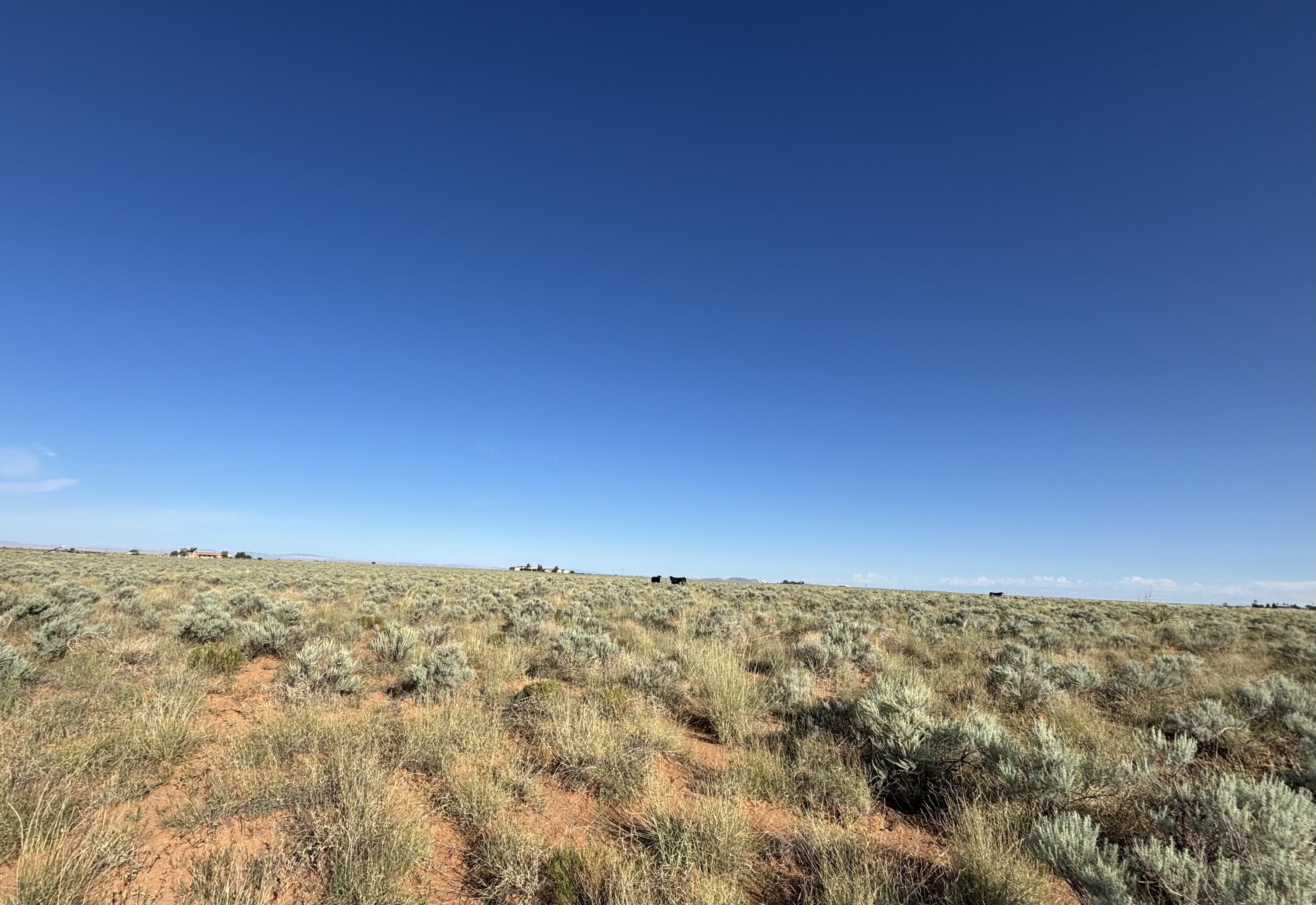 Photo 8 —  PALOMA Loop