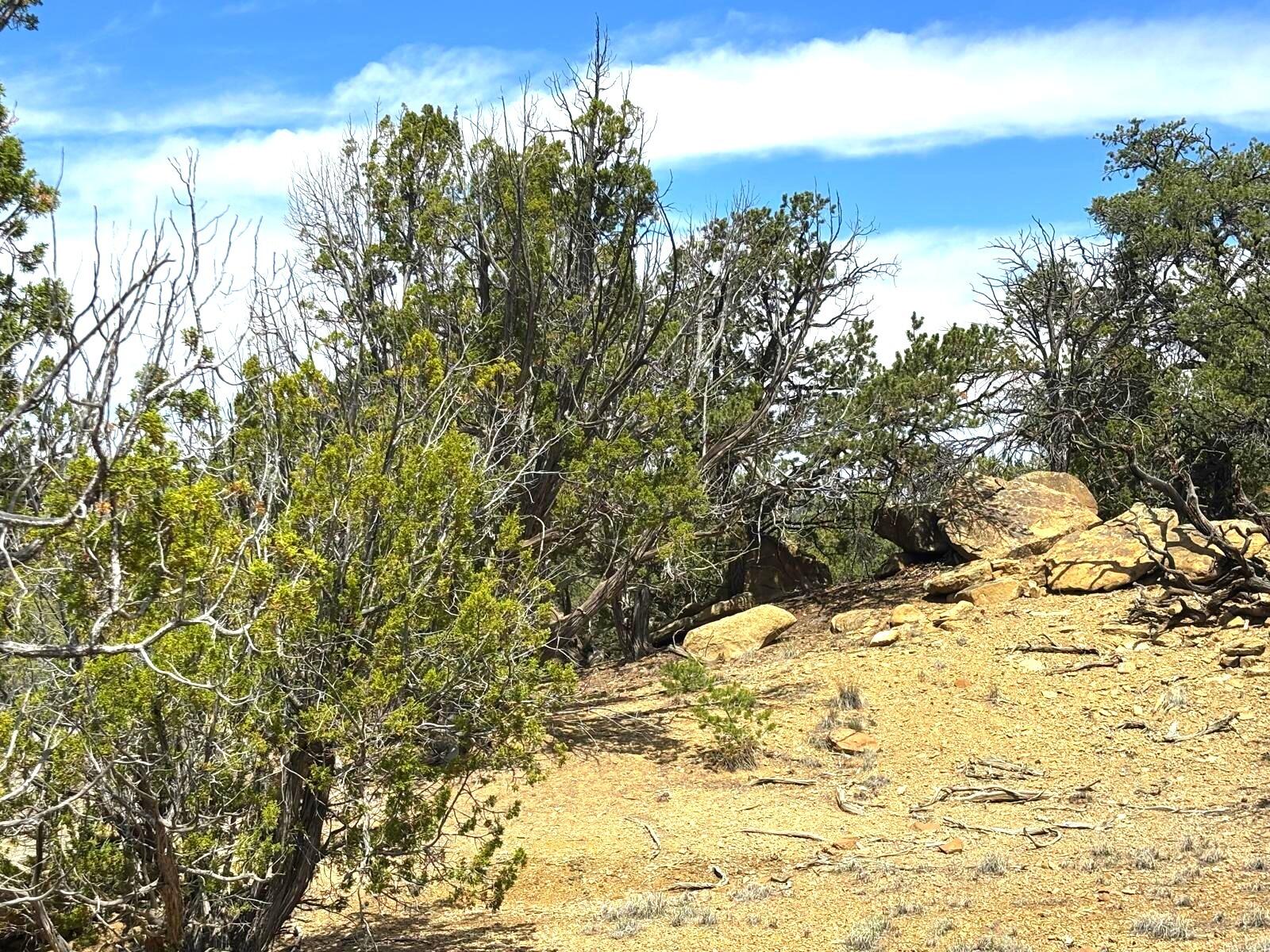 Photo 2 — Lot 4 Slurry Rd