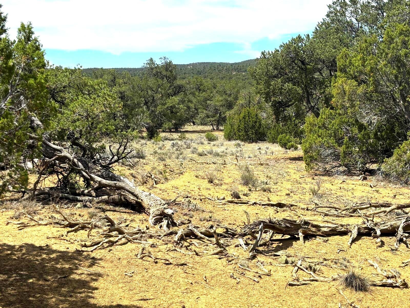 Photo 3 — Lot 4 Slurry Rd
