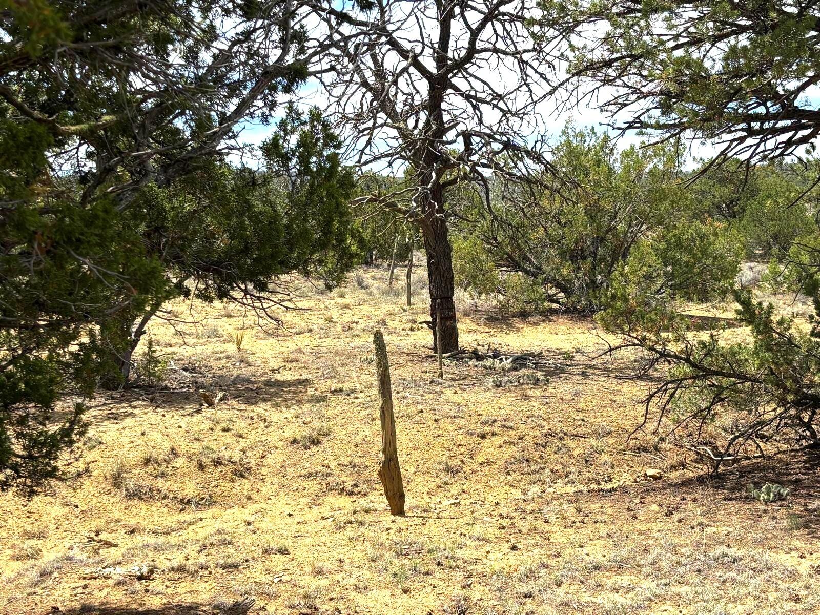 Photo 4 — Lot 4 Slurry Rd