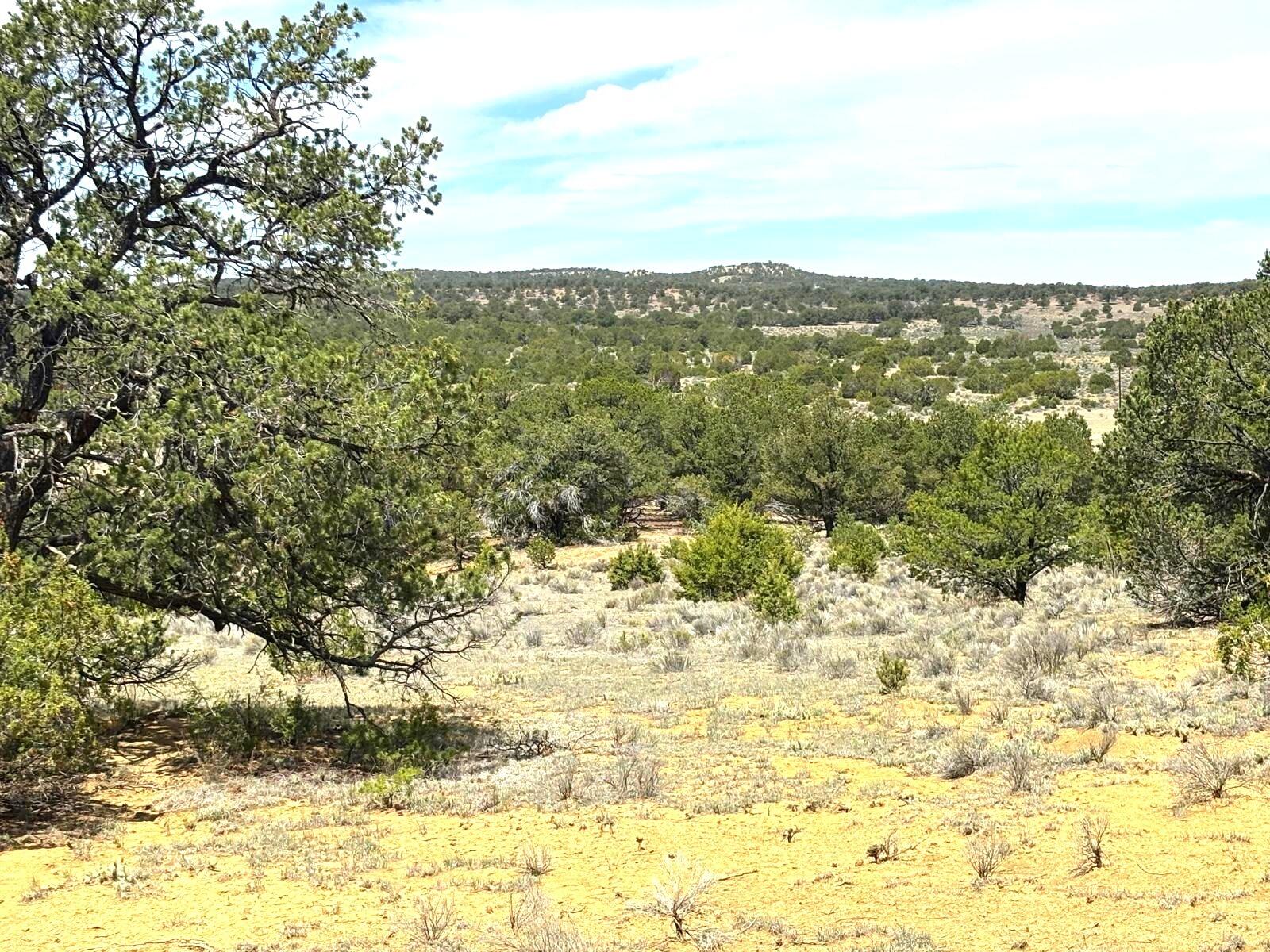 Photo 5 — Lot 4 Slurry Rd