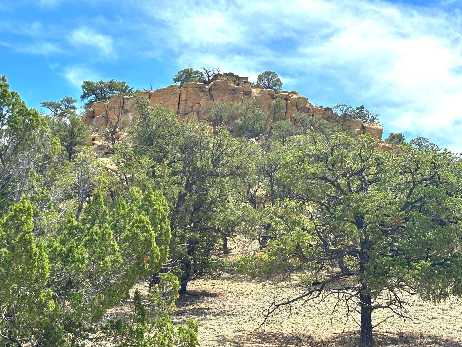 Photo 8 — Lot 4 Slurry Rd