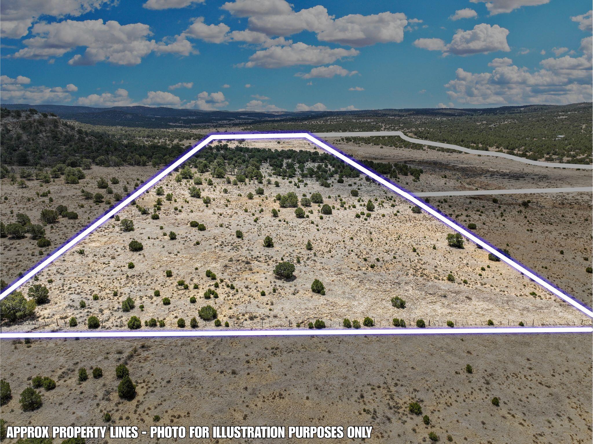 Photo 9 — Lot 4 Slurry Rd