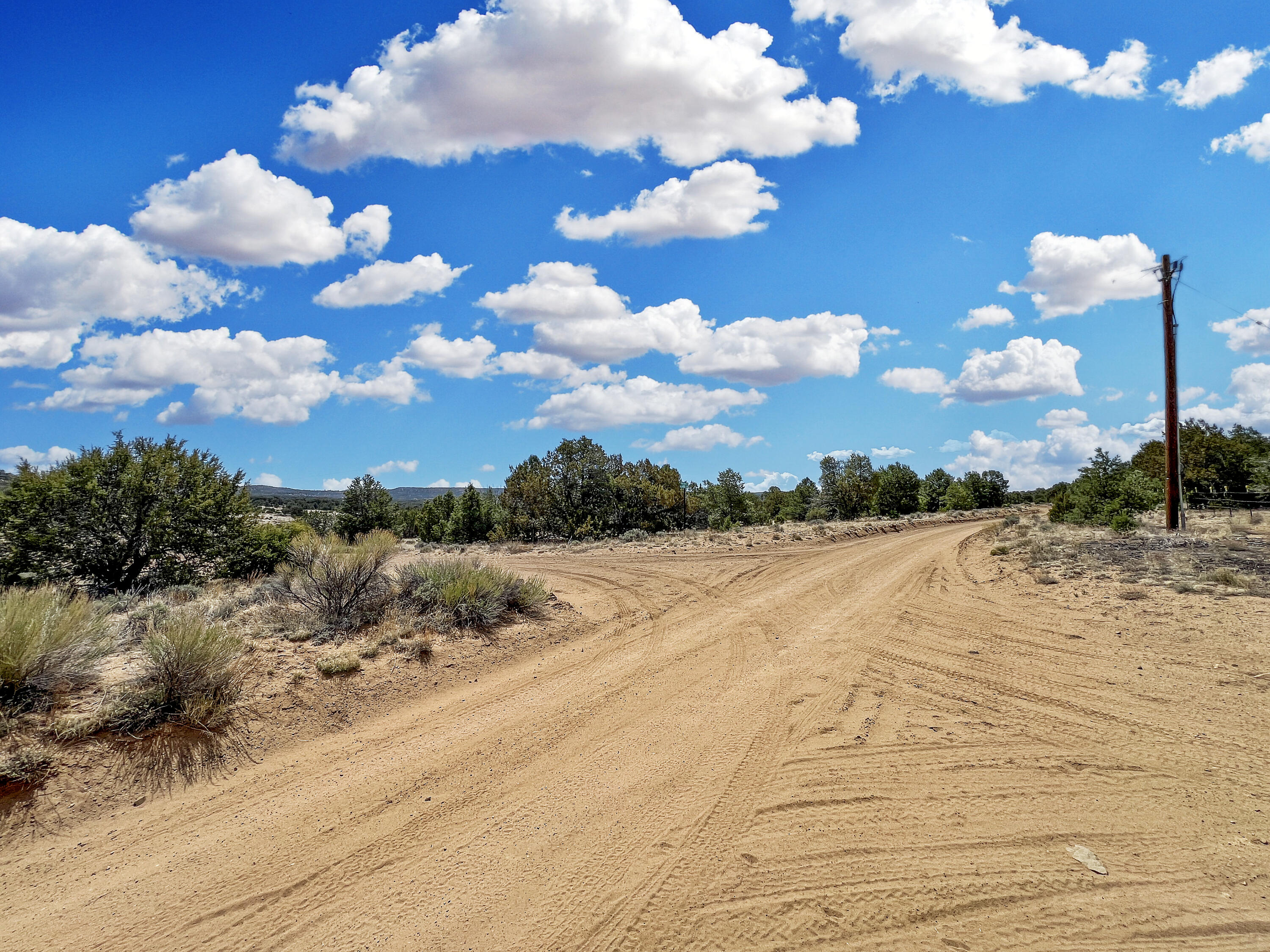 Photo 14 — Lot 4 Slurry Rd
