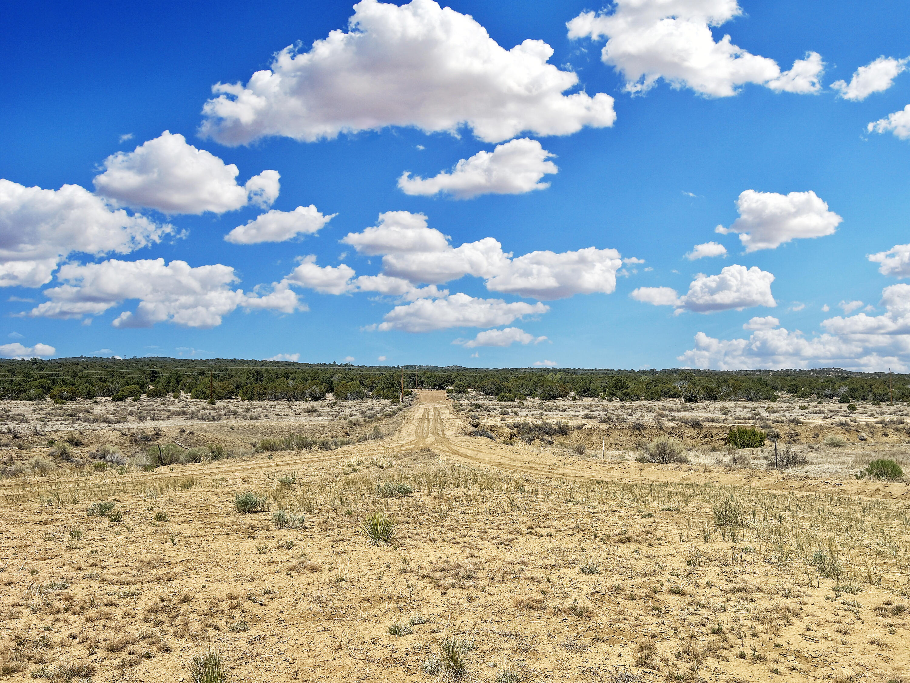 Photo 9 —  Lot 2 Slurry Rd Road