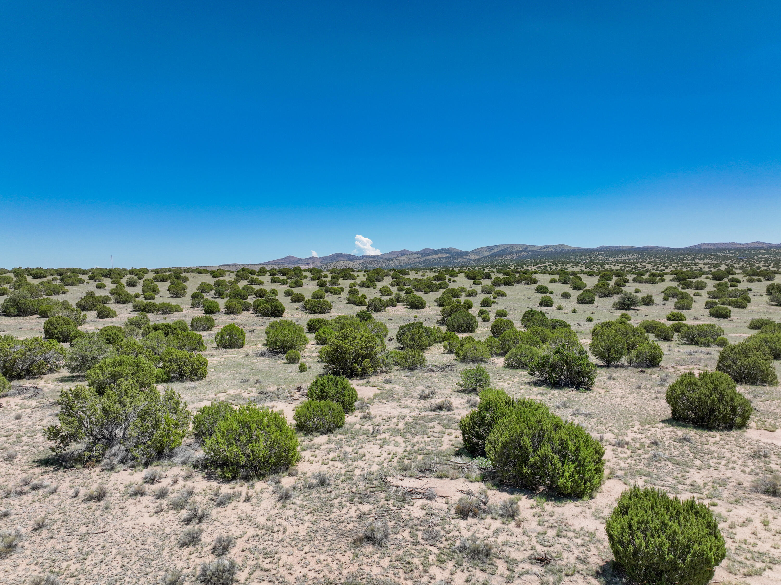 Photo 6 —  Lot 2 Slurry Rd Road