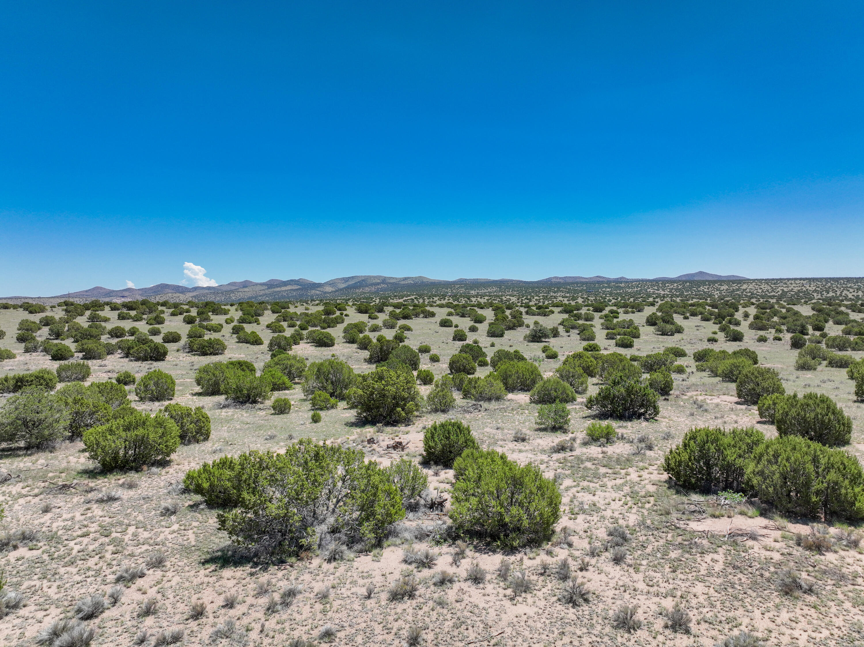 Photo 5 —  Lot 2 Slurry Rd Road