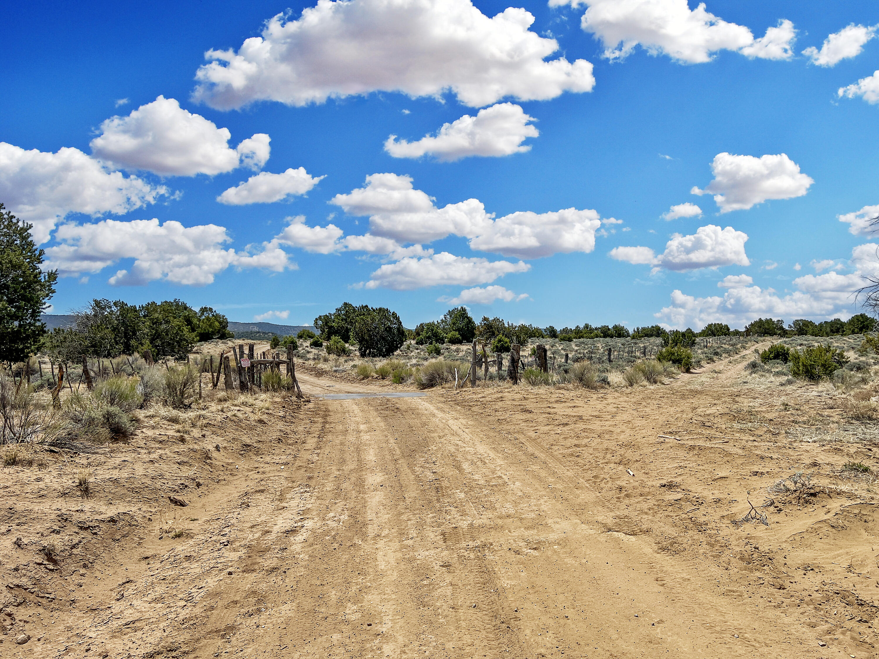 Photo 4 —  Lot 2 Slurry Rd Road