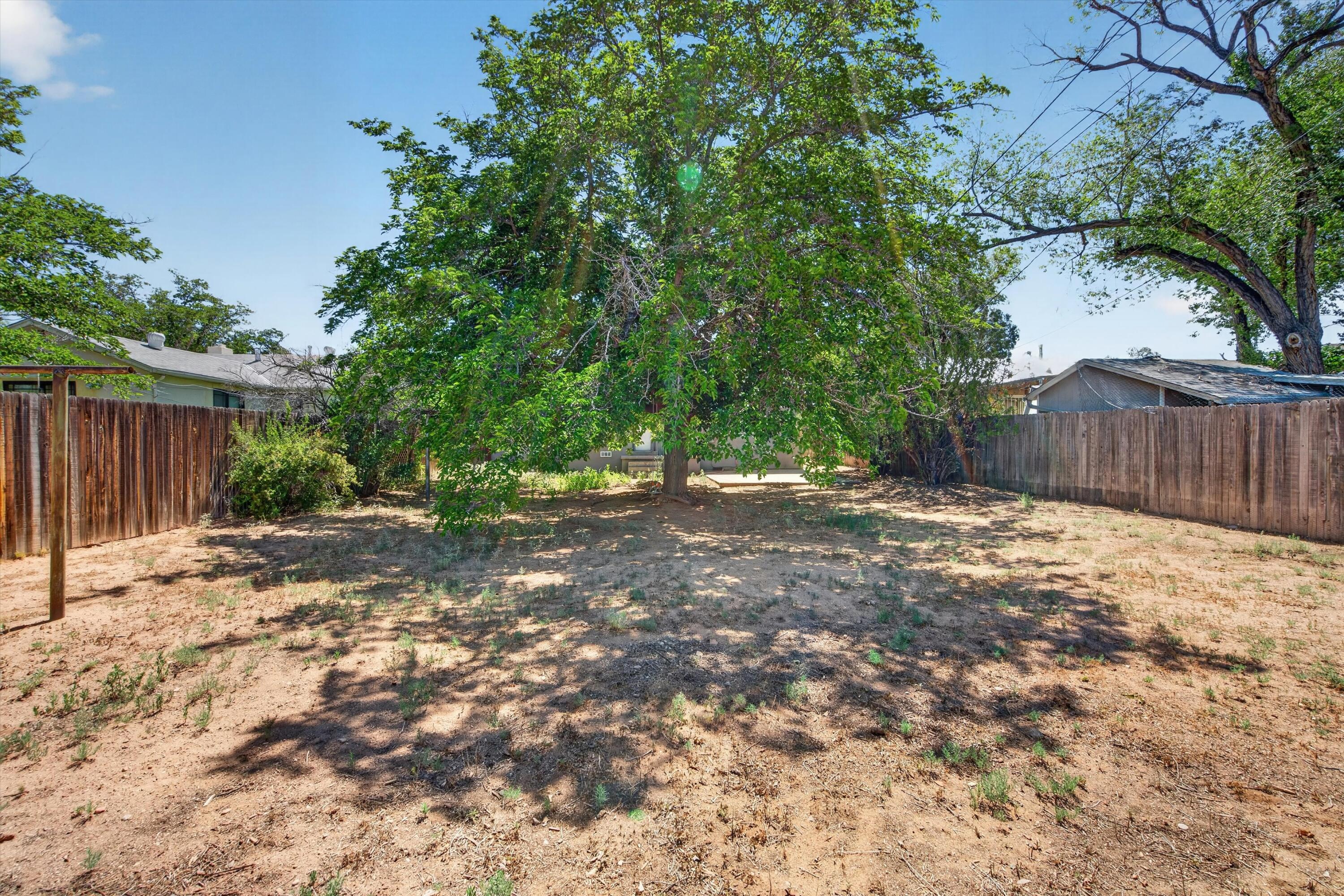 Photo 19 — 225 Morningside Drive NE
