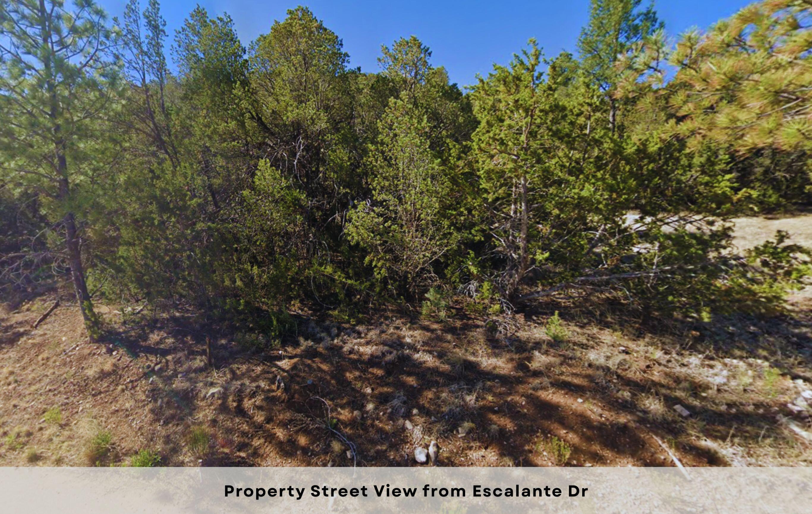 Photo 3 — 213 Escalante Drive
